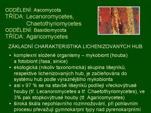 ODDLEN Ascomycota TDA Lecanoromycetes Chaetothyriomycetes ODDLEN Basidiomycota TDA