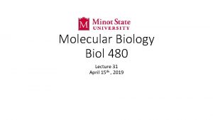 Molecular Biology Biol 480 Lecture 31 April 15