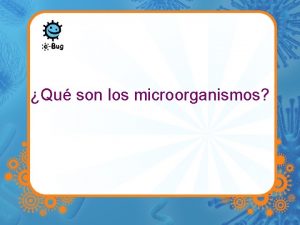 Qu son los microorganismos Los microbios Los microbios