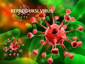 REPRODUKSI VIRUS DEFINISI Virus adalah makhluk hidup karena