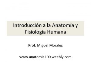 Introduccin a la Anatoma y Fisiologa Humana Prof