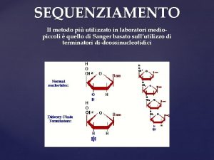 SEQUENZIAMENTO Il metodo pi utilizzato in laboratori mediopiccoli