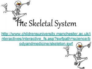 The Skeletal System http www childrensuniversity manchester ac