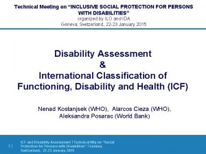 Technical Meeting on INCLUSIVE SOCIAL PROTECTION FOR PERSONS