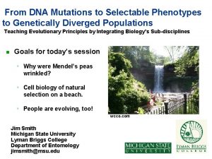From DNA Mutations to Selectable Phenotypes to Genetically