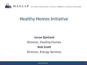Healthy Homes Initiative Jenae Bjelland Director Healthy Homes