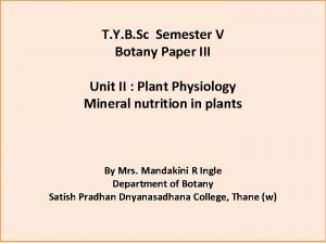 T Y B Sc Semester V Botany Paper