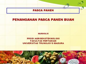 PASCA PANEN PENANGANAN PASCA PANEN BUAH NURHOLIS PRODI