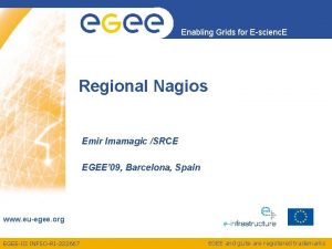 Enabling Grids for Escienc E Regional Nagios Emir