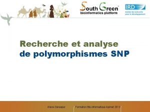 Recherche et analyse de polymorphismes SNP Alexis Dereeper