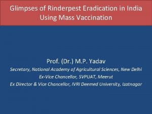 Glimpses of Rinderpest Eradication in India Using Mass