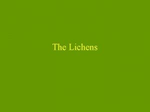 The Lichens Where do lichens belong in the