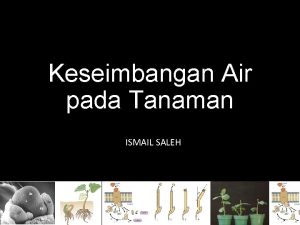 Keseimbangan Air pada Tanaman ISMAIL SALEH Air dalam