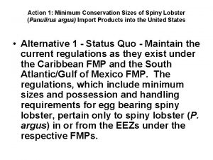 Action 1 Minimum Conservation Sizes of Spiny Lobster