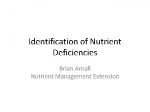 Identification of Nutrient Deficiencies Brian Arnall Nutrient Management