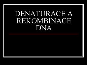 DENATURACE A REKOMBINACE DNA Denaturcia zmena sekundrnej konformcie