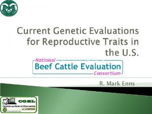 R Mark Enns Current EPD for reproductive traits