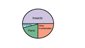 Plants 1 Green algal ancestors Plants 1 Green