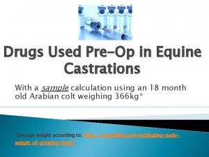 Drugs Used PreOp in Equine Castrations With a