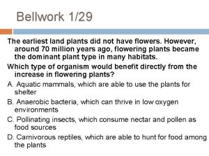 Bellwork 129 The earliest land plants did not