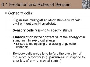 6 1 Evolution and Roles of Senses Sensory