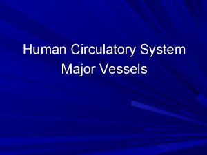 Human Circulatory System Major Vessels External jugular vein