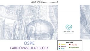 OSPE CARDIOVASCULAR BLOCK Color Code Nerves Arteries Veins