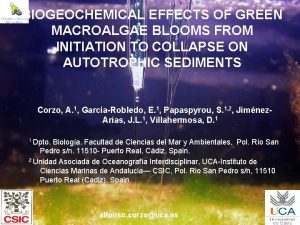 BIOGEOCHEMICAL EFFECTS OF GREEN MACROALGAE BLOOMS FROM INITIATION