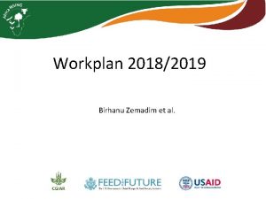 Workplan 20182019 Birhanu Zemadim et al Outcome no