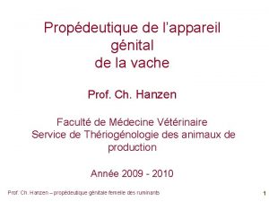 Propdeutique de lappareil gnital de la vache Prof