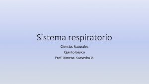 Sistema respiratorio Ciencias Naturales Quinto bsico Prof Ximena