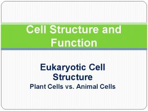 Cell Structure and Function Eukaryotic Cell Structure Plant