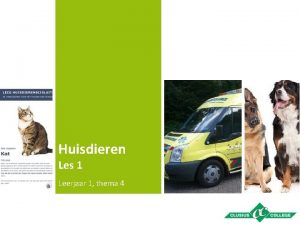 Huisdieren Les 1 Leerjaar 1 thema 4 Themainhoud