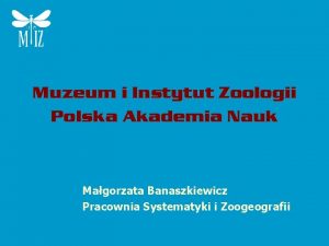 Muzeum i Instytut Zoologii Polska Akademia Nauk Magorzata