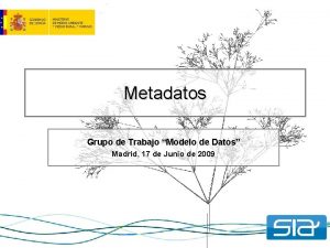 Metadatos Grupo de Trabajo Modelo de Datos Madrid