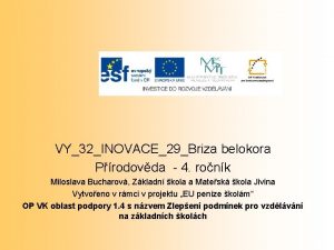 VY32INOVACE29Briza belokora Prodovda 4 ronk Miloslava Bucharov Zkladn