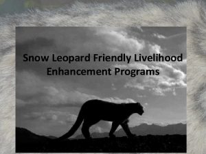 Snow Leopard Friendly Livelihood Enhancement Programs The context