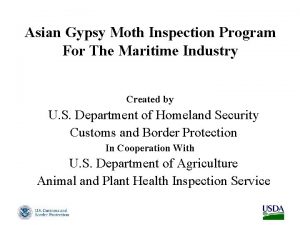 Asian Gypsy Moth Inspection Program For The Maritime