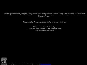 MonocytesMacrophages Cooperate with Progenitor Cells during Neovascularization and