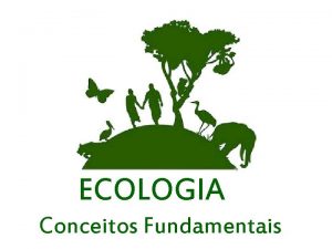 ECOLOGIA Conceitos Fundamentais INTRODUO Estudo das relaes entre