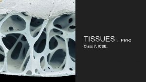 TISSUES Part2 Class 7 ICSE Animal Tissues Epithelial