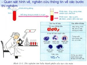 Quan st hnh v nghin cu thng tin