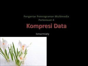 Pengantar Pemrograman Multimedia Pertemuan 4 Kompresi Data Ismarmiaty