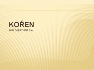 KOEN SOFI DOBRYNINA 5 A 1 KOEN OBECN