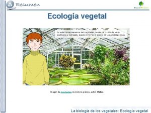 Ecologa vegetal Imagen de invernadero de dominio pblico