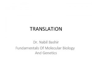 TRANSLATION Dr Nabil Bashir Fundamentals Of Molecular Biology