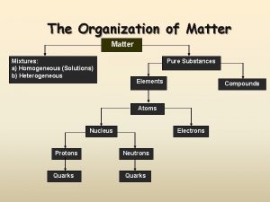 The Organization of Matter Mixtures a Homogeneous Solutions