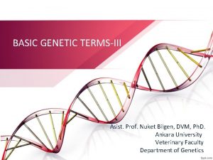BASIC GENETIC TERMSIII Asist Prof Nuket Bilgen DVM