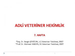 ADL VETERNER HEKMLK 7 HAFTA Do Dr Sezgin