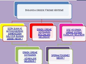 NSANDA ERKEK REME SSTEM SZN UAN K MTOKONDRNZ